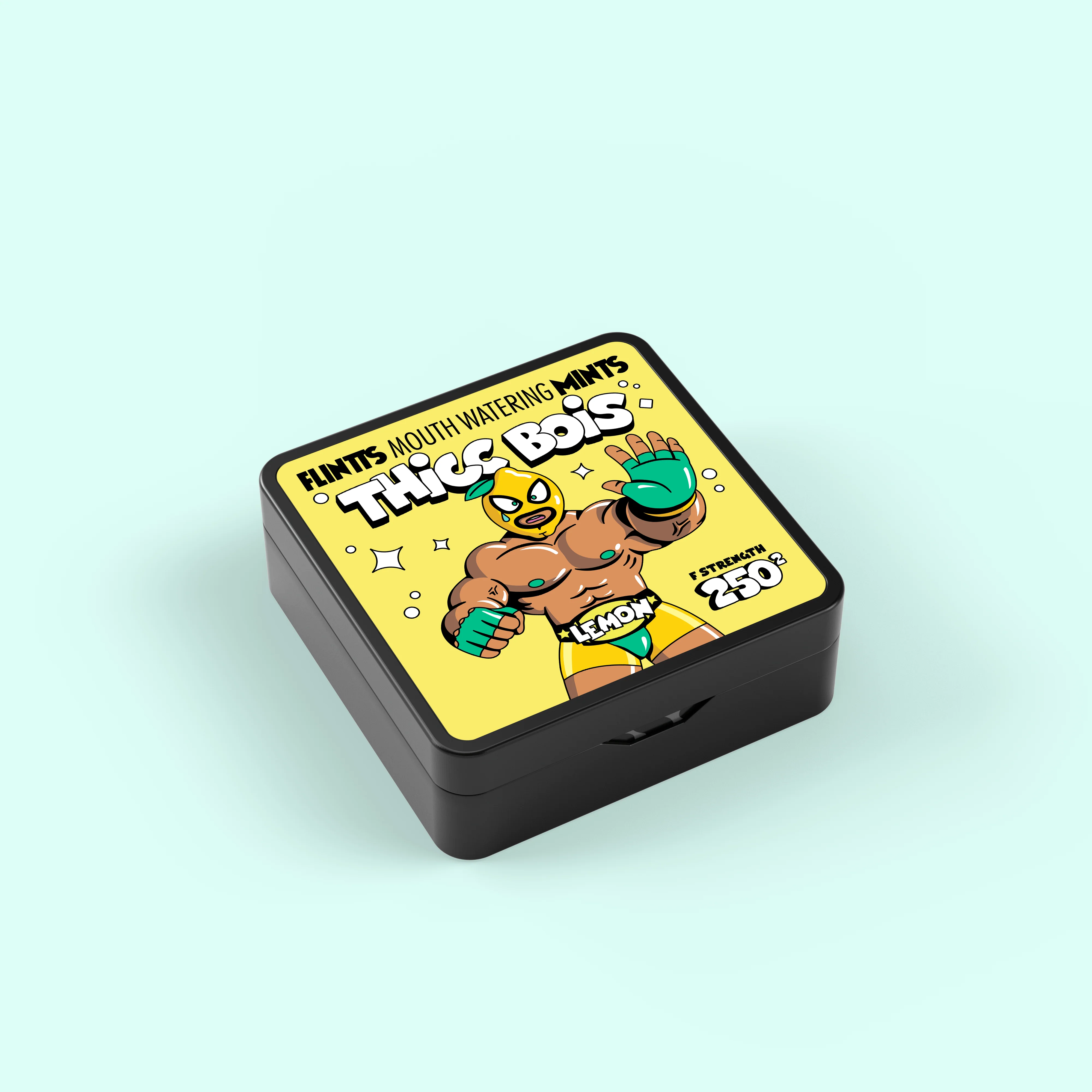 Flintts Labs